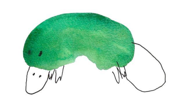 Platypus Tickets